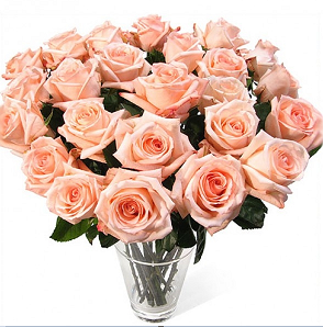 Букет 80 розовые розы